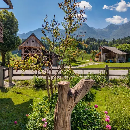 Domacija Petek Bohinj