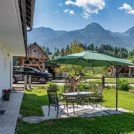 Domacija Petek Bohinj