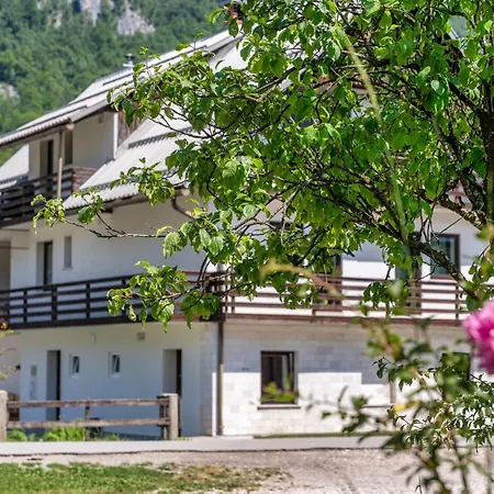 Lägenhet Domacija Petek Bohinj