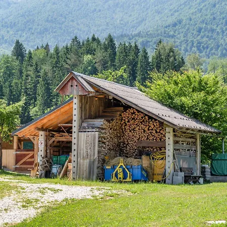 Domacija Petek Lägenhet *